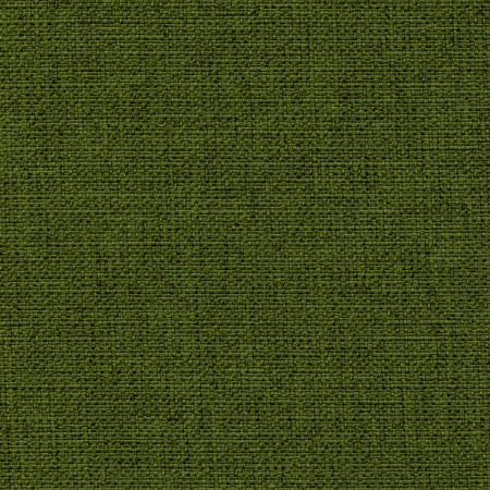 2155-1146
