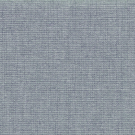 Alkanet_2155-1132